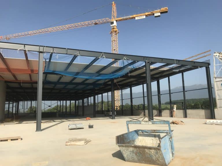 Bois de Bay à Satigny