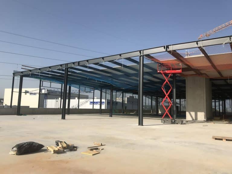 Bois de Bay à Satigny