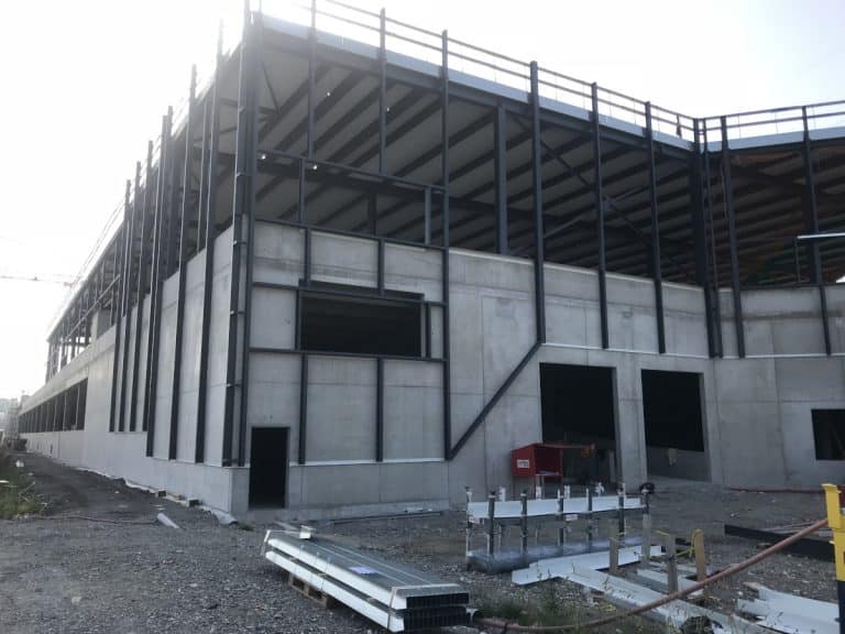 Bois de Bay à Satigny