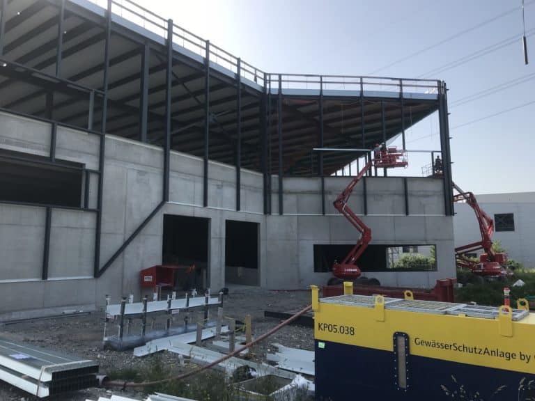 Bois de Bay à Satigny