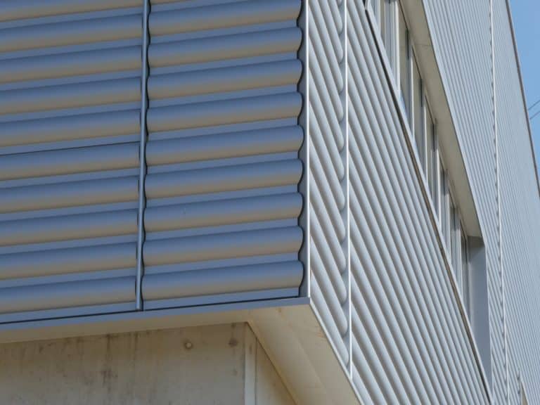 Bois de Bay à Satigny