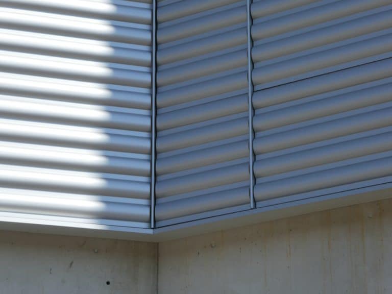 Bois de Bay à Satigny