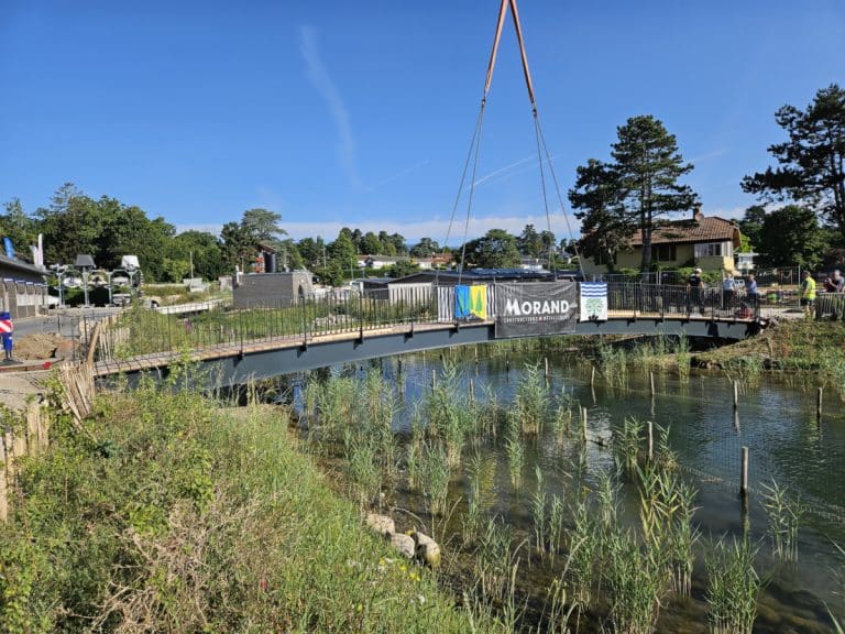 Passerelle-du-Torry_Mies_04-1200x900