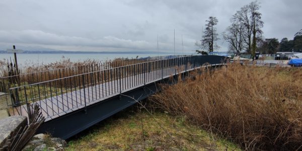 Passerelle-du-Torry_Mies_1200x540